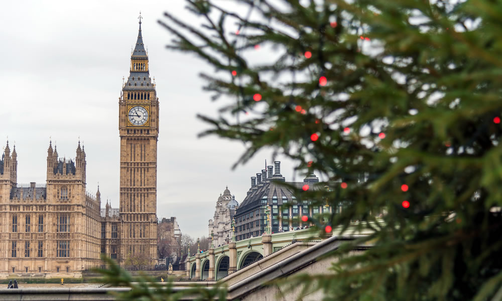 Excursión de Londres con almuerzo en crucero Panorámica de Londres con almuerzo en crucero