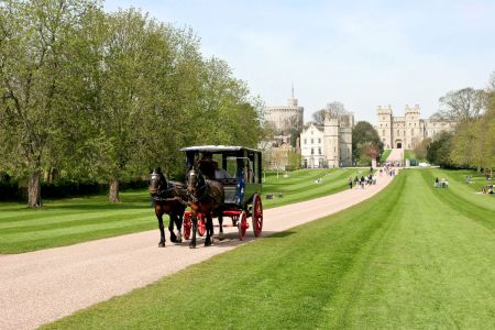 The Long Walk Castillo de Windsor con carruaje
