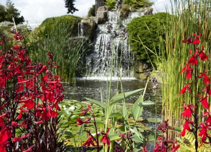 Rock Garden - Kew