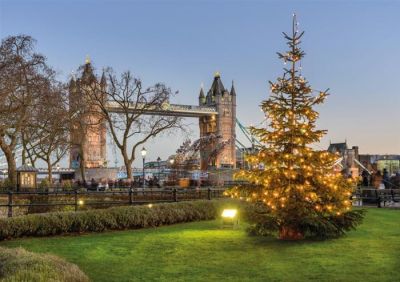 Autobús Turístico Londres el Día de Navidad