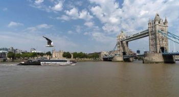 paseo en barco por el tamesis londres