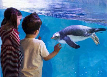 Comprar las entradas para visitar el acuario de Londres