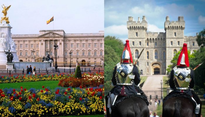 Tour con visita al Palacio de Buckingham y Castillo de Windsor