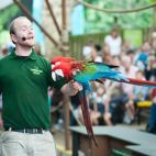 Zoológico de Londres