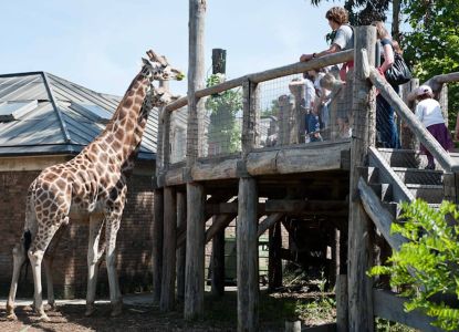 El zoológico en Londres es una de las atracciones favoritas de los niños