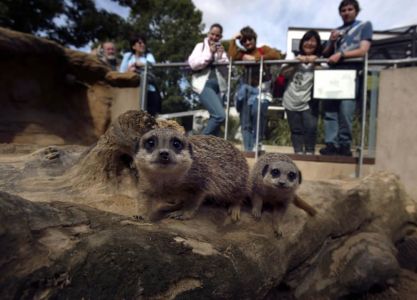 El zoológico de Londres es uno de los zoológicos más antiguos del mundo