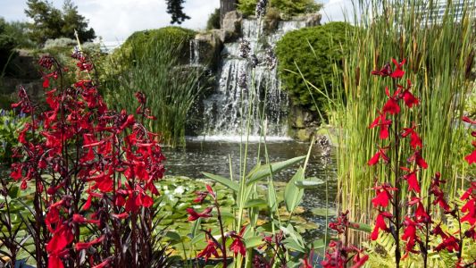 Rock Garden - Kew